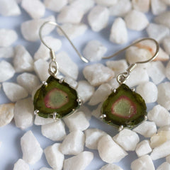 925 Sterling Silver Green-Pink-Blue Watermelon Slice Earrings