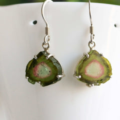 925 Sterling Silver Green-Pink-Blue Watermelon Slice Earrings