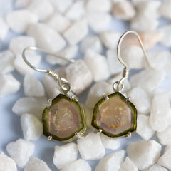 925 Sterling Silver Light Watermelon Slice Earrings