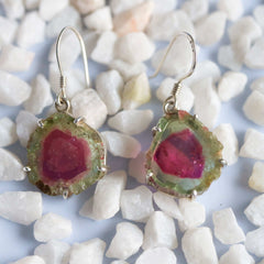 925 Sterling Silver Watermelon Slice Earrings