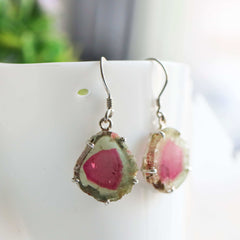 925 Sterling Silver Watermelon Slice Earrings