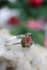 Small Pink-Green Watermelon Tourmaline Slice Ring – 925 Sterling Silver